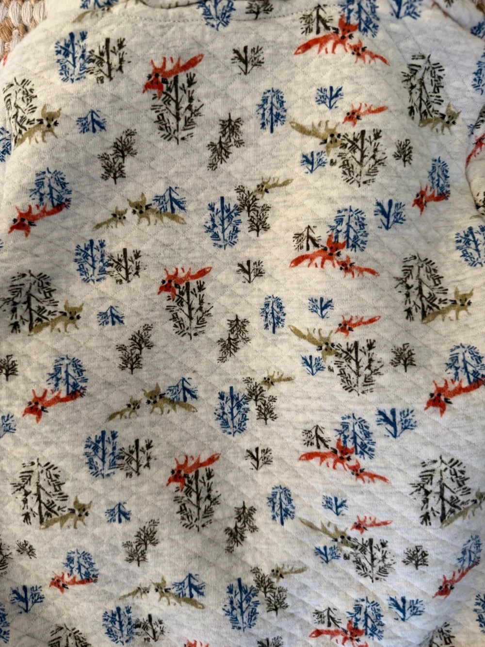 Petit Bateau petit bateau